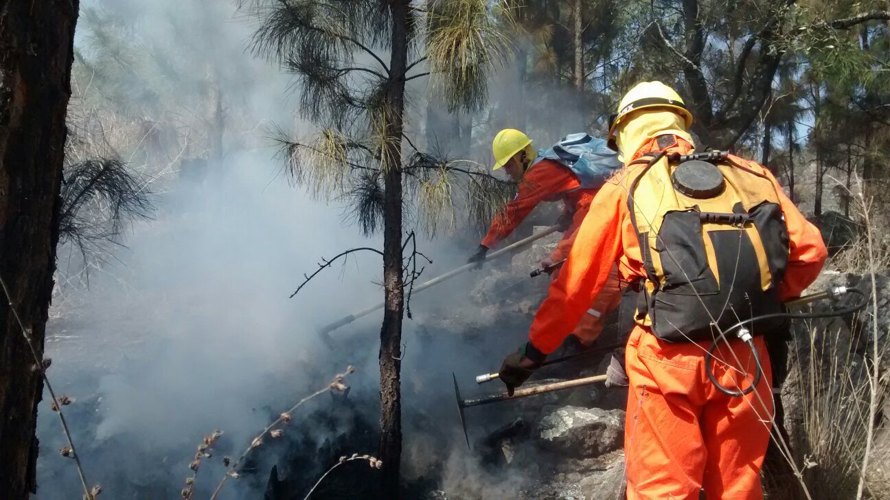 Bomberos de nuestra Federación en el Combate de los Incendios Forestales